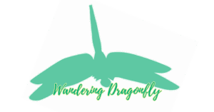 wanderingdragonfly.org